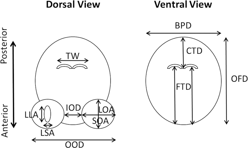 Figure 1: