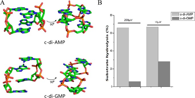 FIGURE 10.