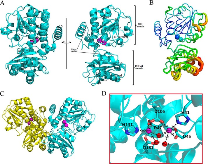 FIGURE 2.