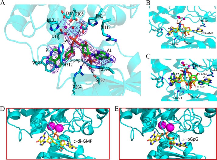 FIGURE 5.