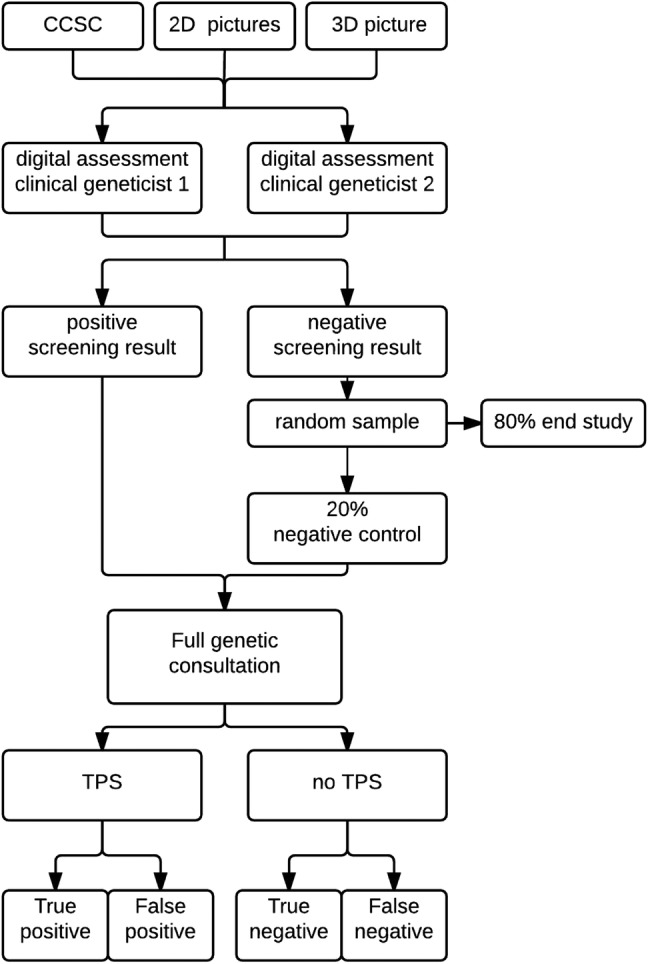 Figure 1