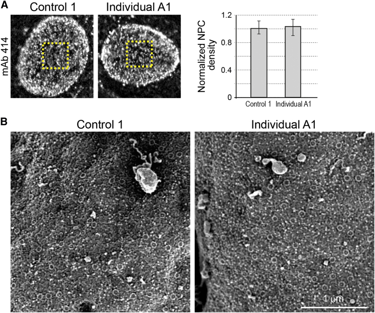 Figure 4