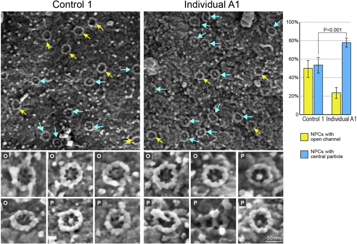 Figure 6