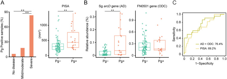 FIG 6