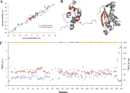 FIGURE 4.