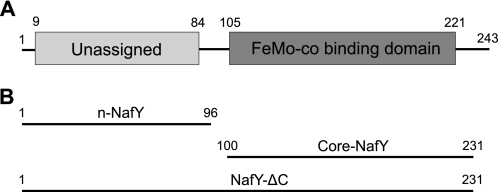 FIGURE 1.