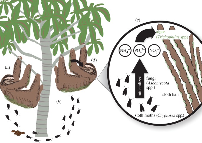 Figure 3.