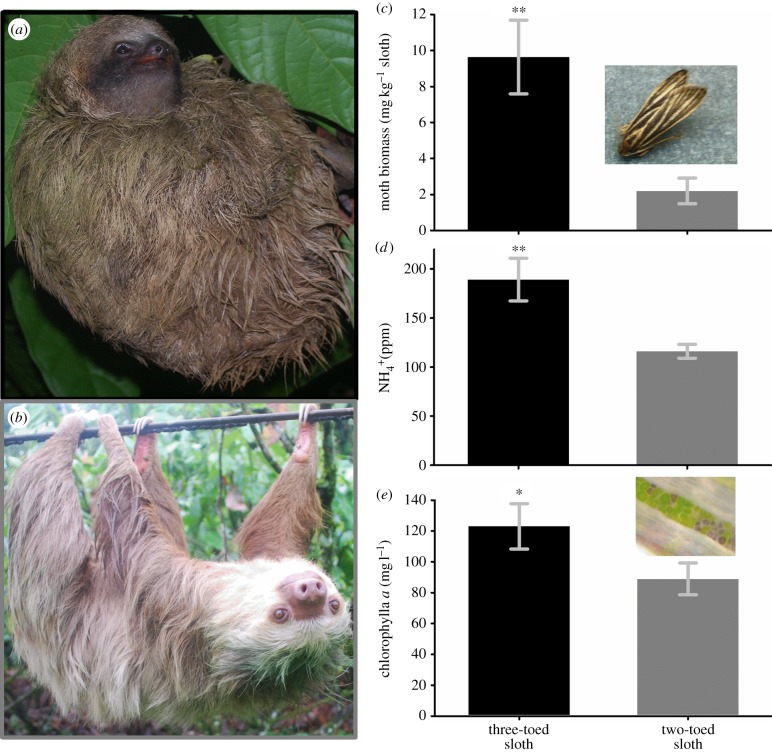 Figure 1.