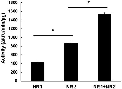 Fig. 3