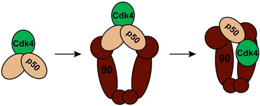 Figure 13