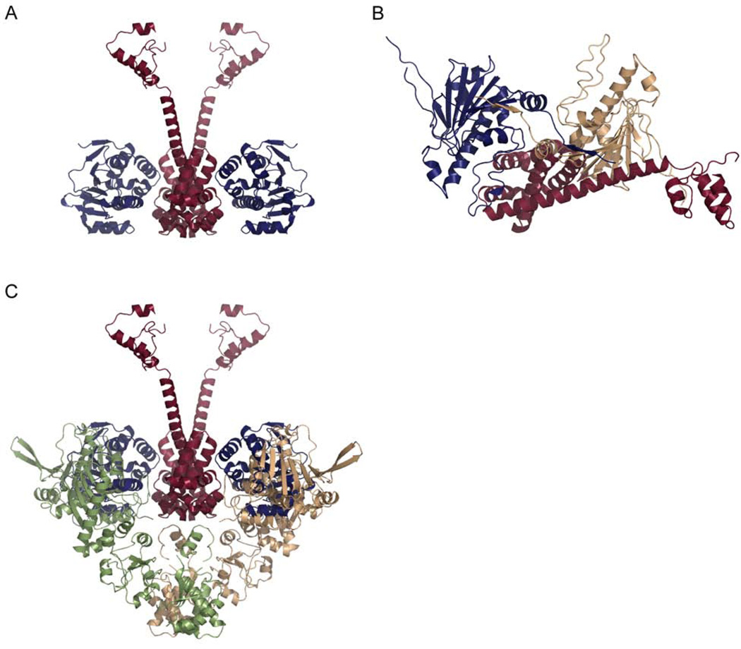 Figure 10