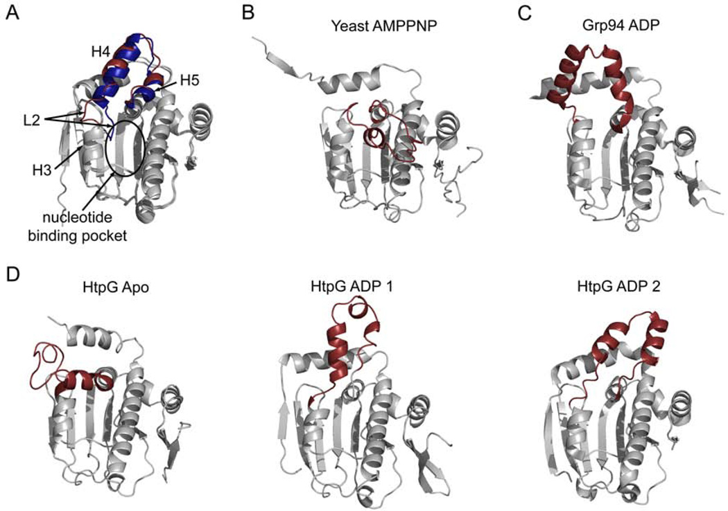 Figure 4