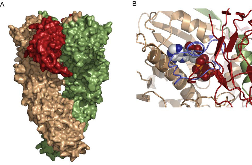 Figure 9