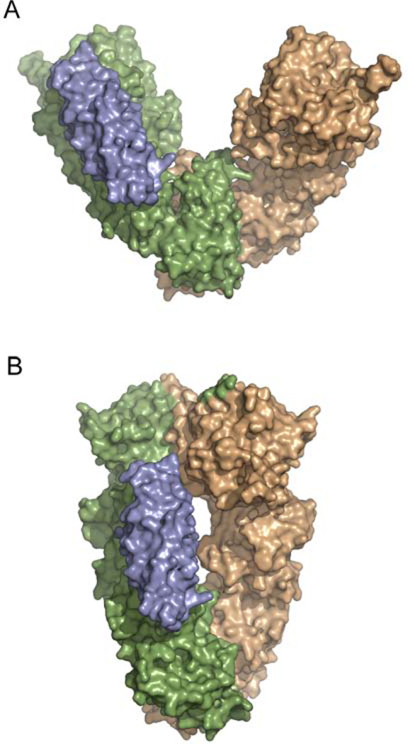 Figure 11