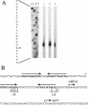 FIG. 5.