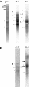 FIG. 7.