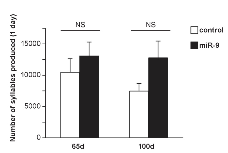 Figure 6—figure supplement 1.