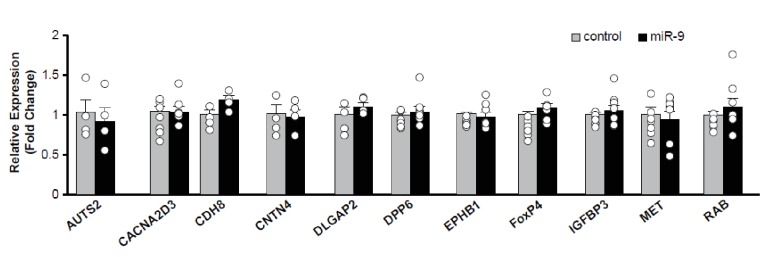 Figure 8—figure supplement 1.