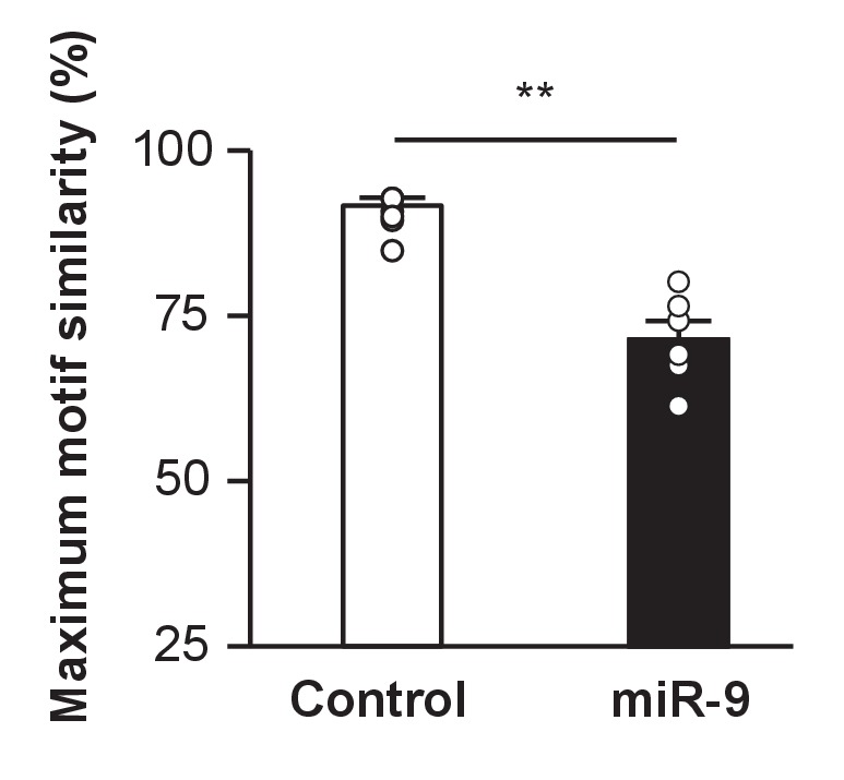 Figure 3—figure supplement 1.