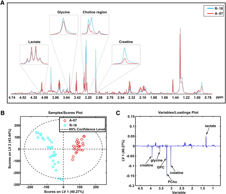 Figure 1