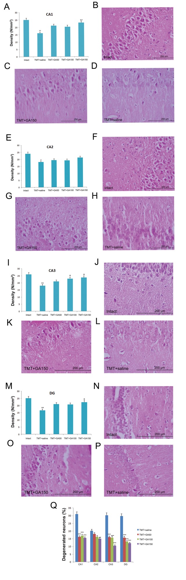 Fig.4