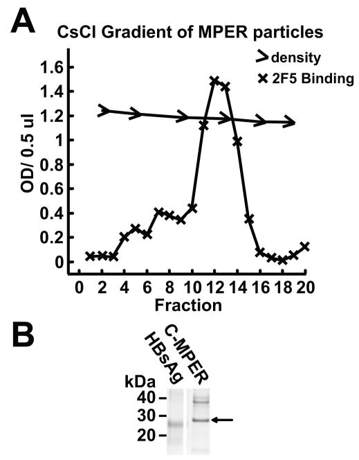 Fig 5