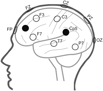 Fig. 2