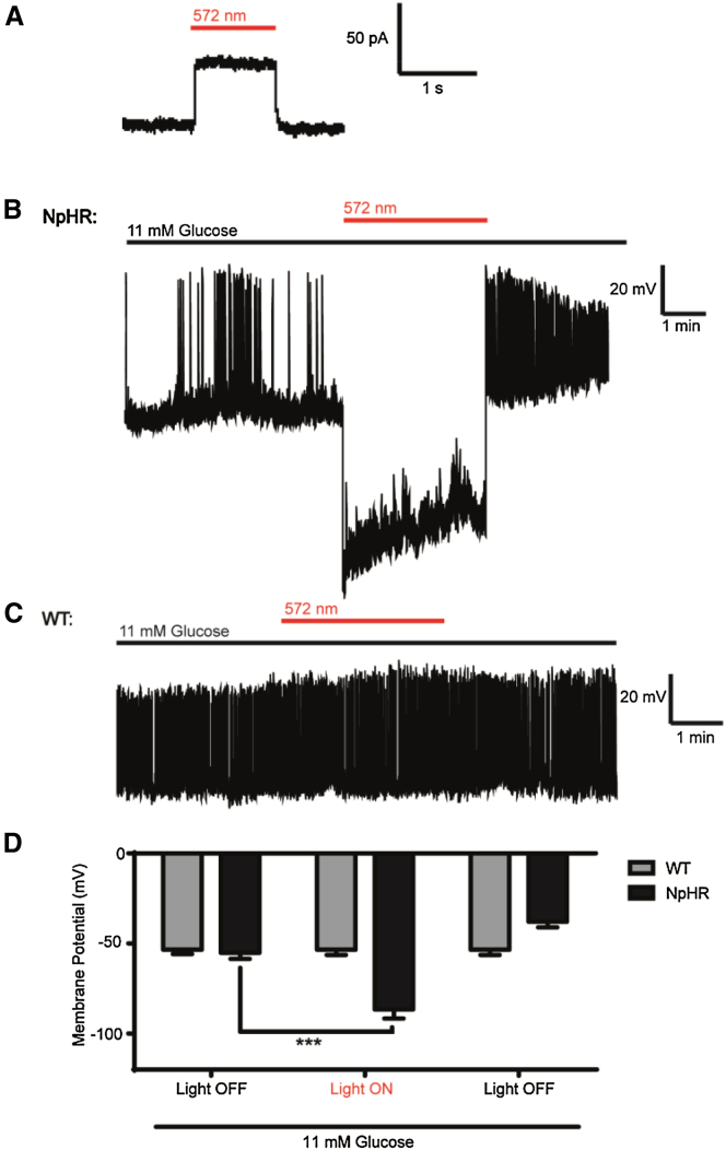 Figure 3