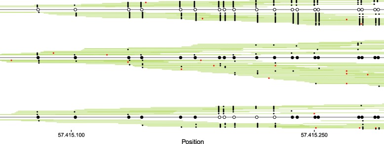 Fig. 2