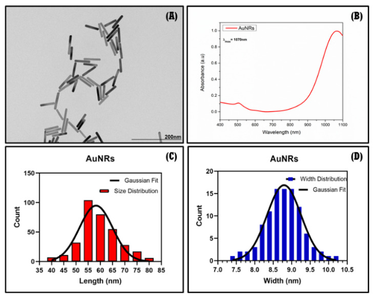 Figure 11