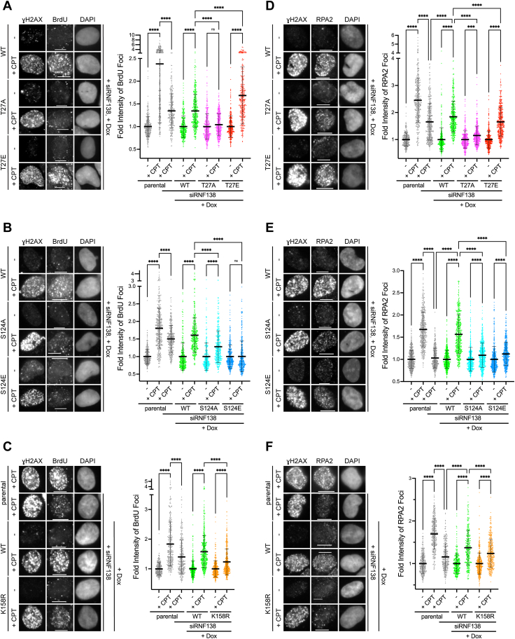 Figure 6