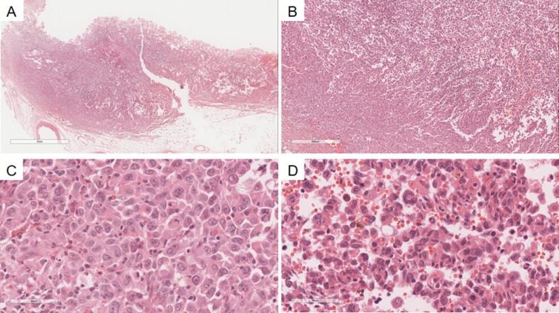 Fig. 2