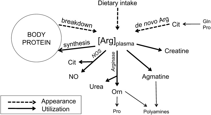 FIGURE 1.