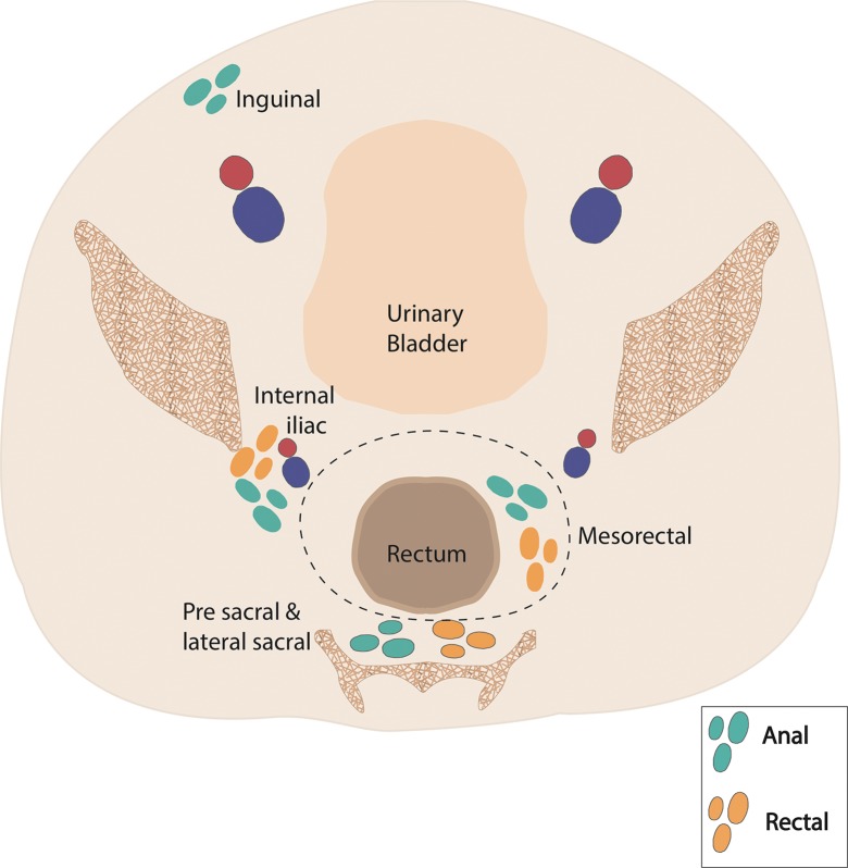 Figure 4b.