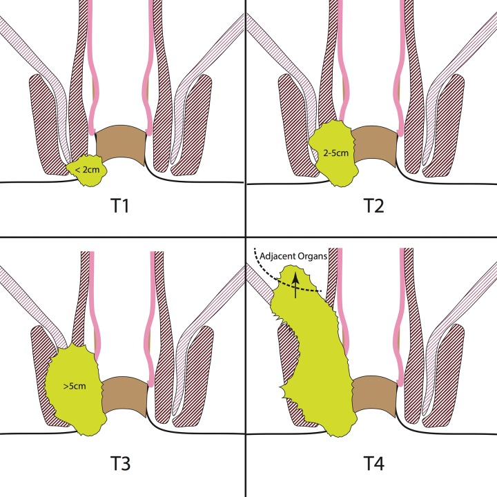 Figure 10.