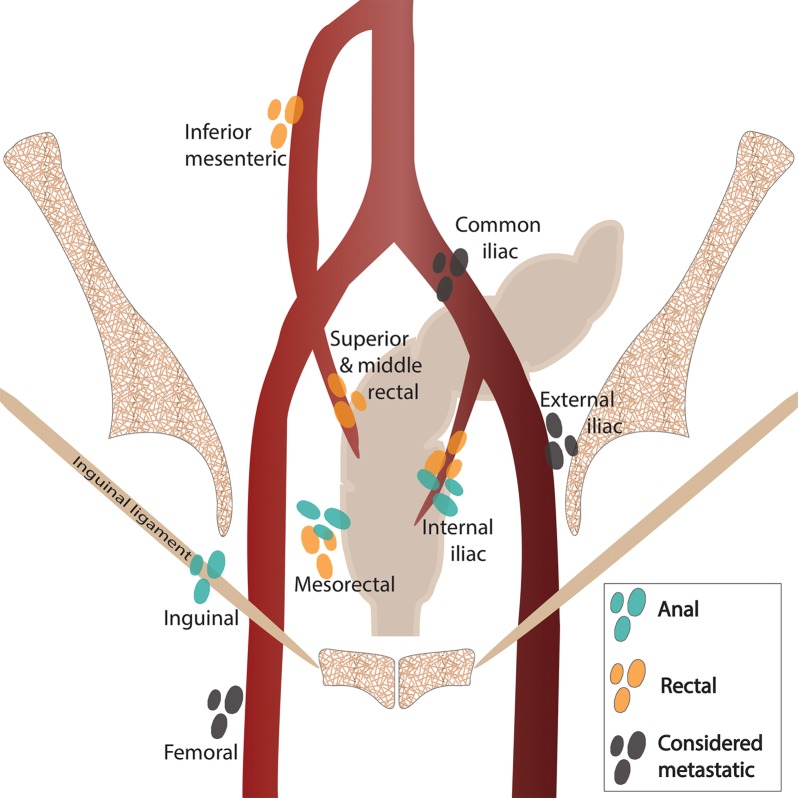 Figure 4a.