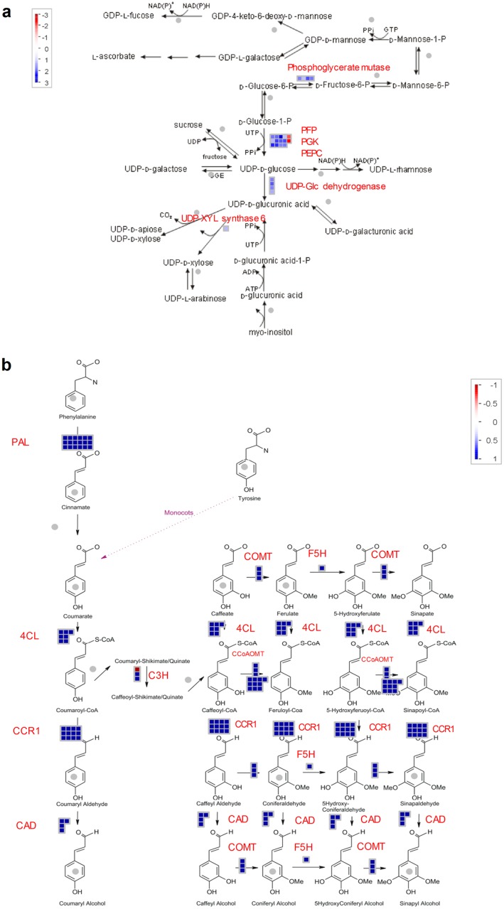 Fig 5