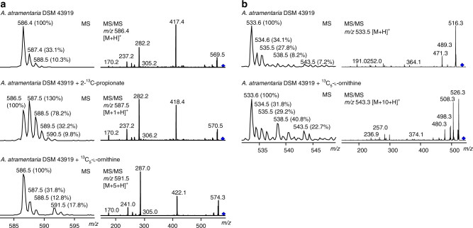 Fig. 4