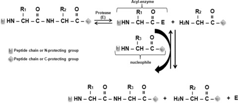 Figure 3–