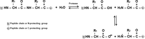 Figure 2–