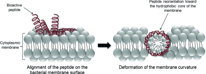 Figure 5–