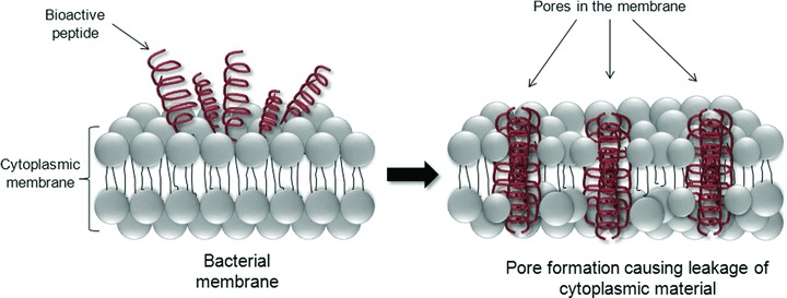 Figure 4–