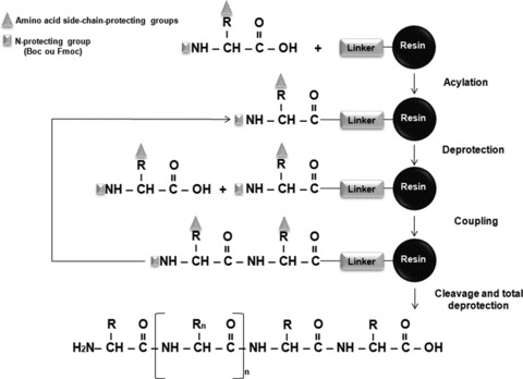 Figure 1–