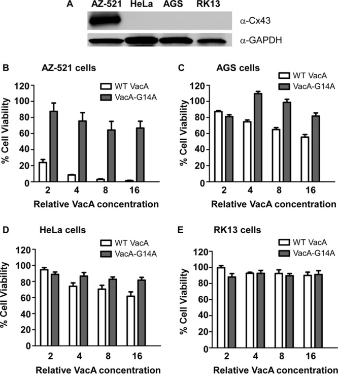 FIG 4