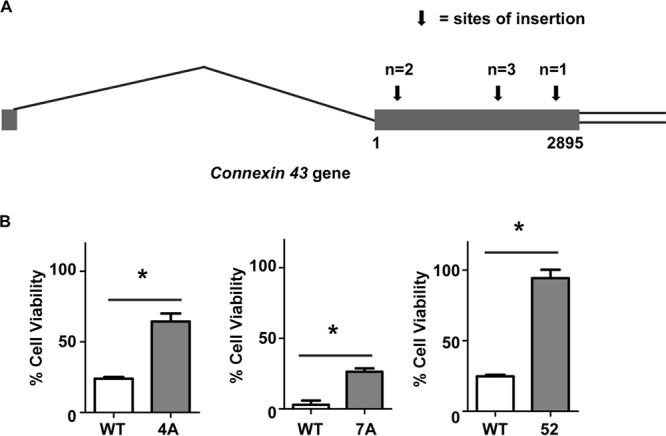 FIG 1