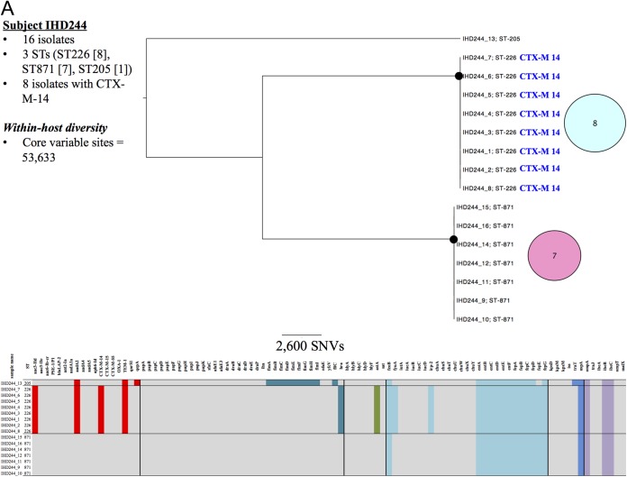 FIG 1