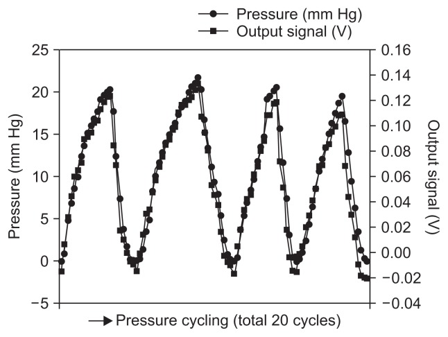 Fig. 10