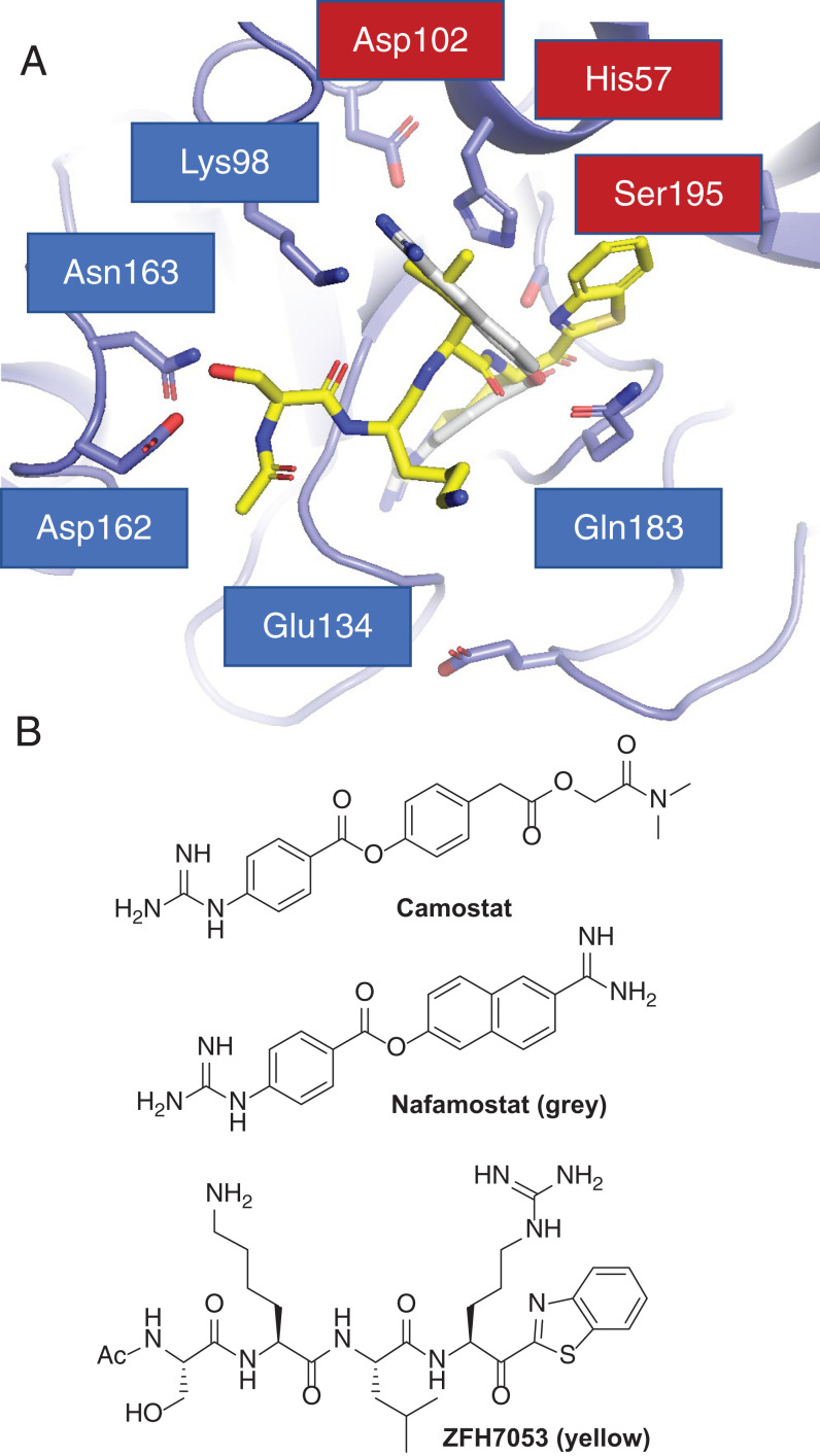 Fig. 3.