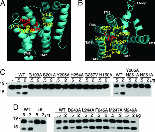 Fig. 4.