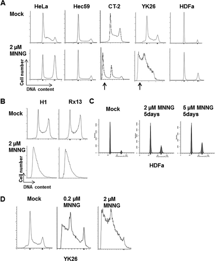 FIGURE 3.